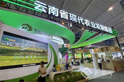 上千種特色農產品精彩亮相南博會 助力云南品牌走向世界 讓世界共享云南味道